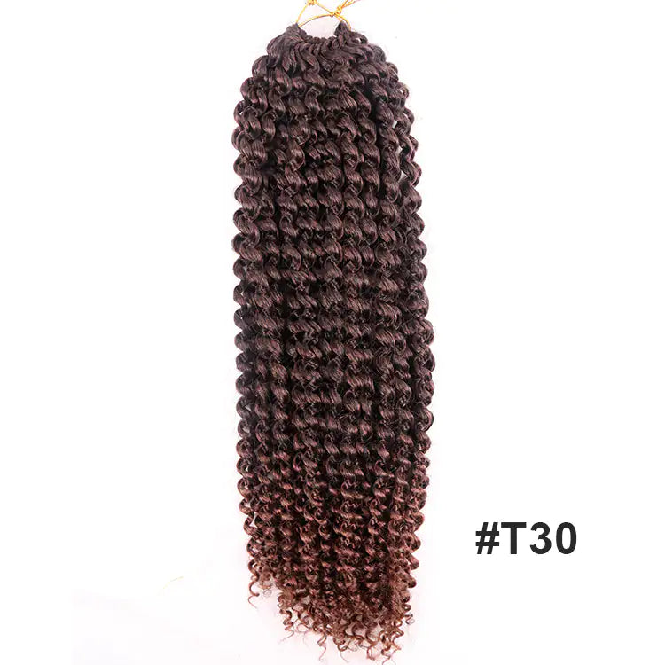 Extensiones de cabello Passion Twist